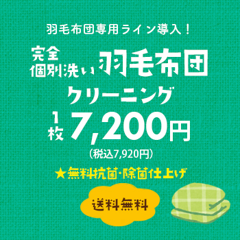 羽毛布団専用ライン導入！完全個別洗い 羽毛布団クリーニング 1枚6,800円（税別）【送料無料】